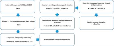 Multi-epitope vaccine design for hepatitis E virus based on protein ORF2 and ORF3